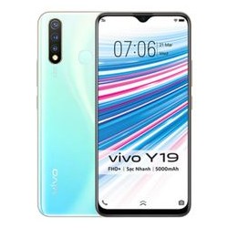 VIVO V19